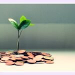 "saving money piggy bank"