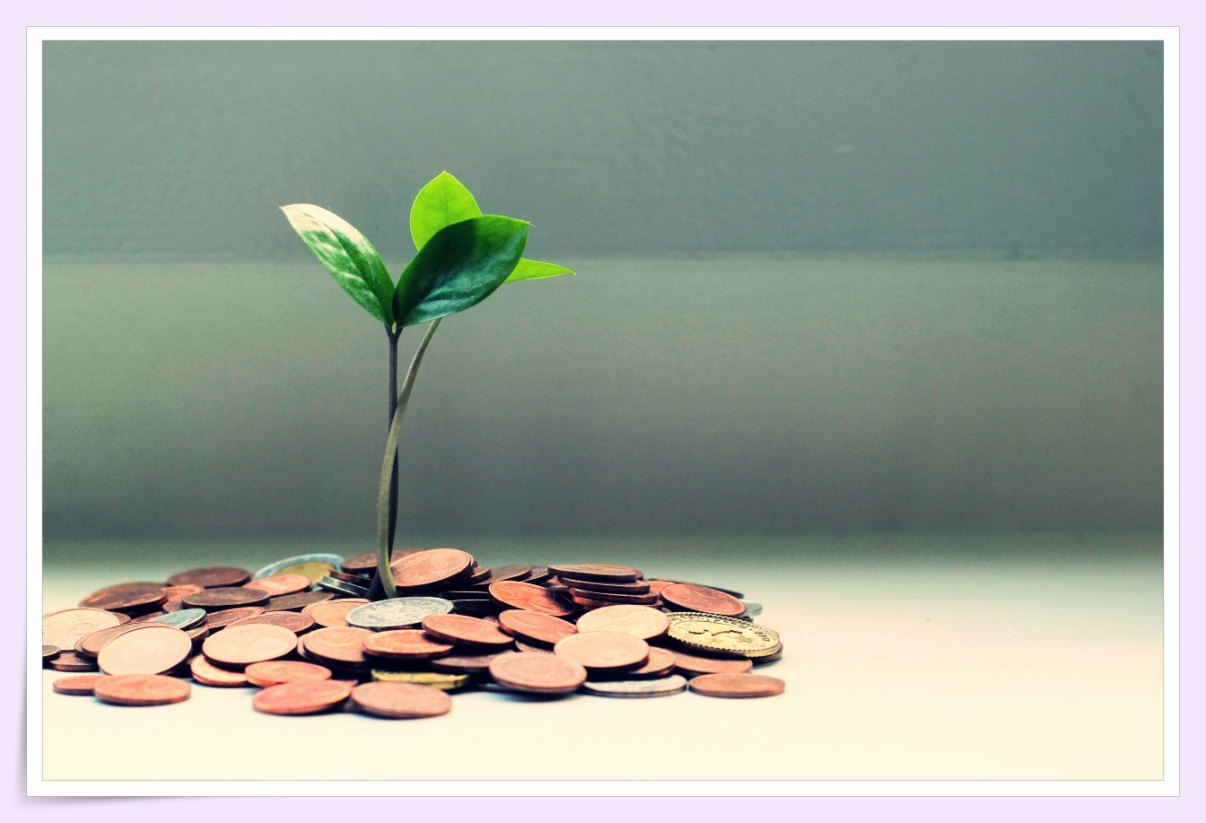 "saving money piggy bank"