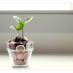 best high yield savings accounts in 2026