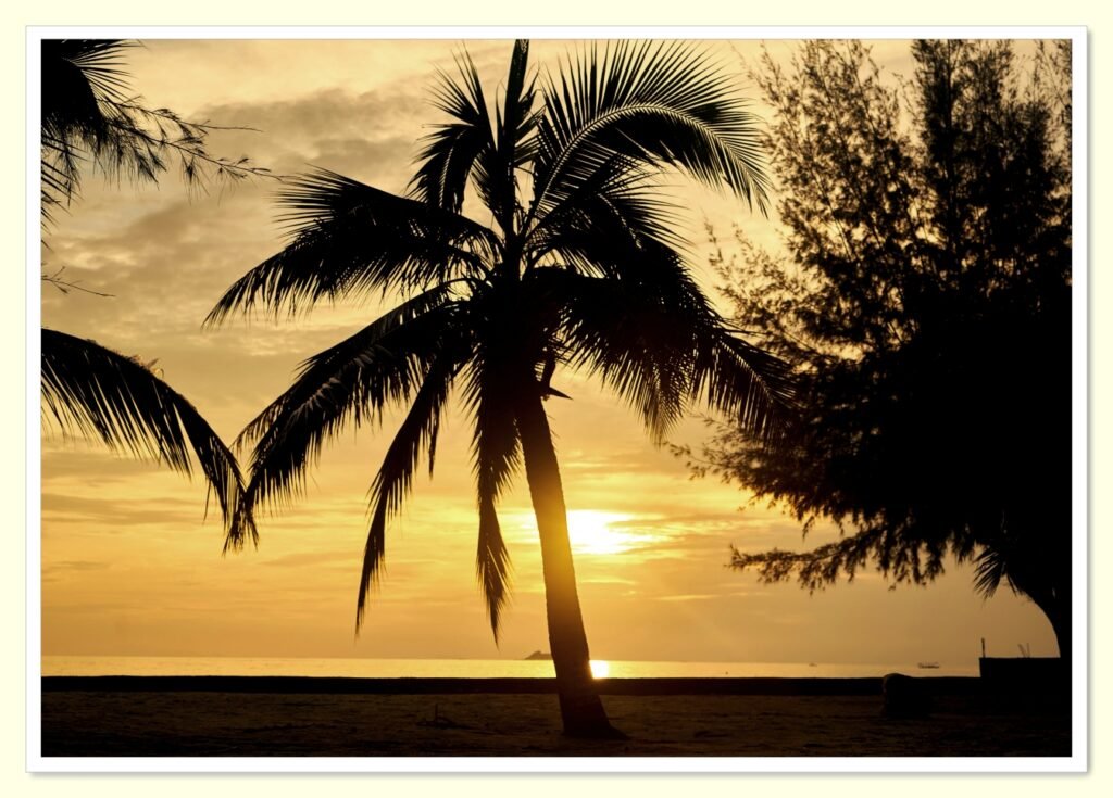 preventive care visit to reduce healthcare costs