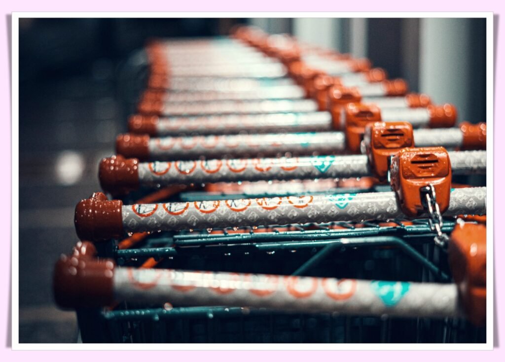 parent and child grocery shopping on a budget