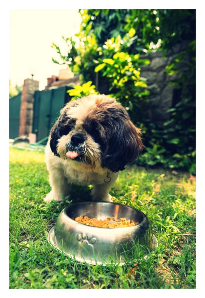 monthly pet food cost budget for dogs