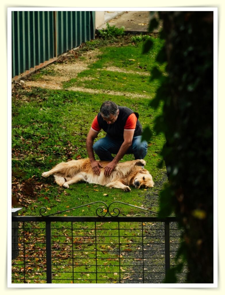 building repeat pet sitting clients for steady income