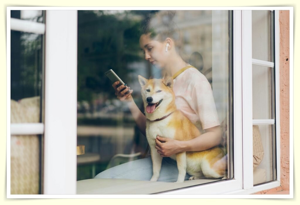 setting up rover pet sitting profile to get bookings