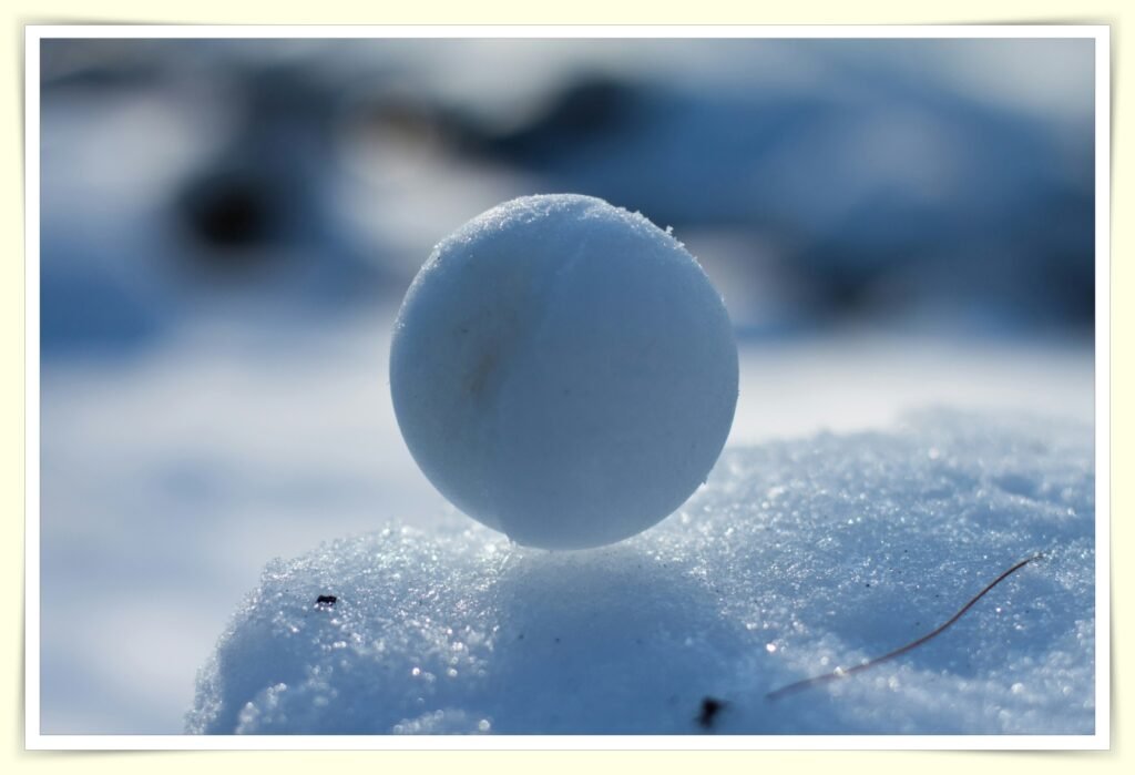 snowball method debt payoff for single income households